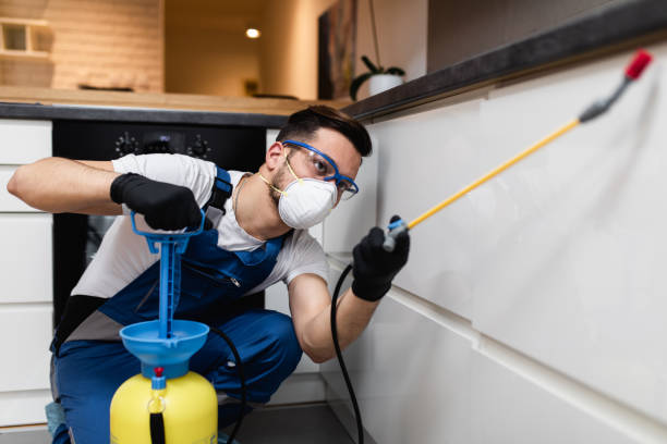 Best Rat Extermination Near Me  in Wellsburg, WV