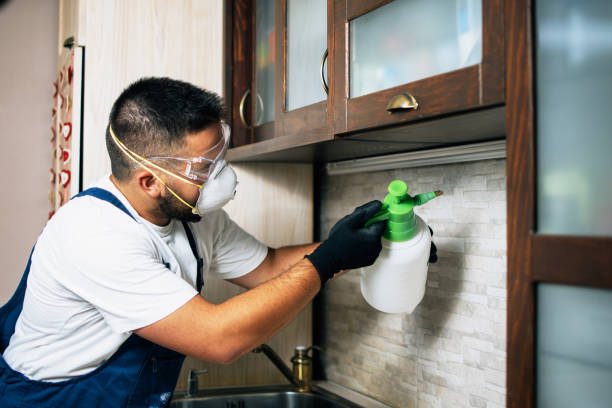 Best Bed Bug Extermination  in Wellsburg, WV