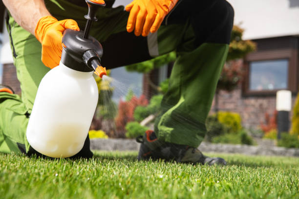 Best Affordable Pest Control Services  in Wellsburg, WV