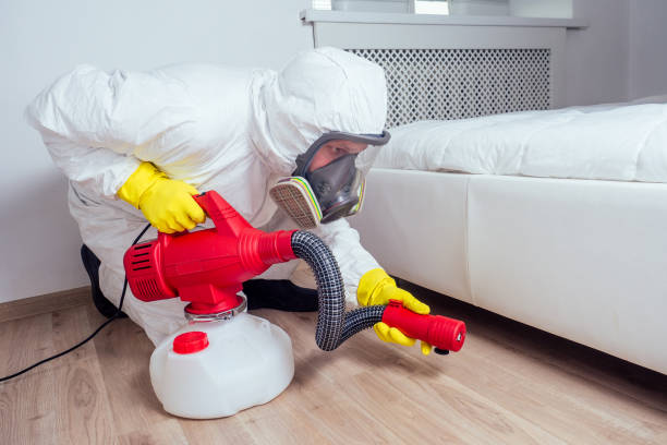 Best Affordable Pest Control Services  in Wellsburg, WV