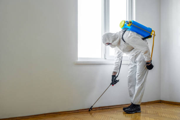 Reliable Wellsburg, WV Pest Control Solutions