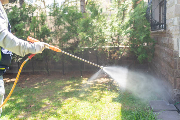 Best Pest Control for Homes  in Wellsburg, WV