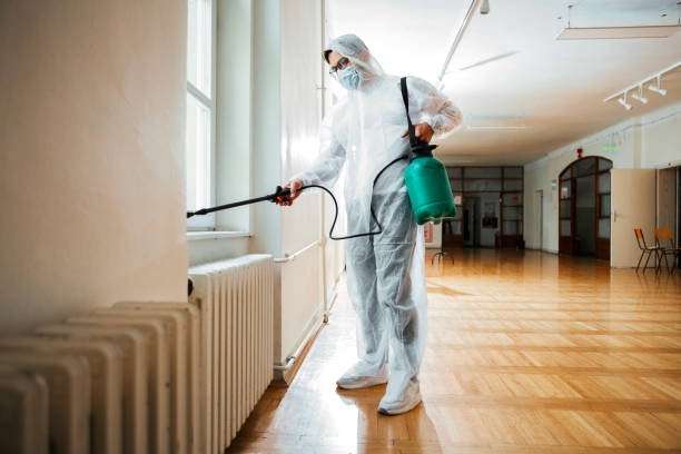 Best Emergency Pest Control  in Wellsburg, WV