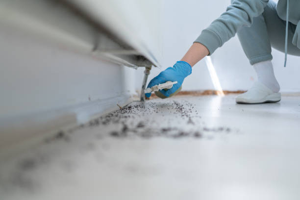 Best Best Pest Control Companies  in Wellsburg, WV